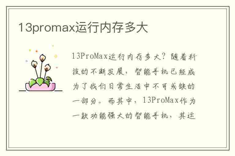 13promax运行内存多大(苹果13promax运行内存多大)