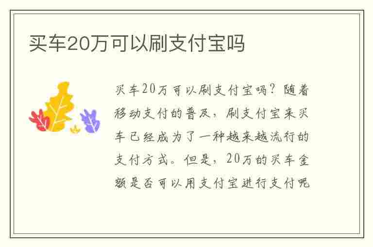 买车20万可以刷支付宝吗(买车怎么转账一次性付三十万)