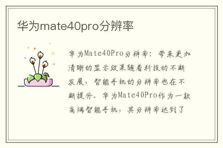 华为mate40pro分辨率(华为mate40pro分辨率和刷新率调那一个)