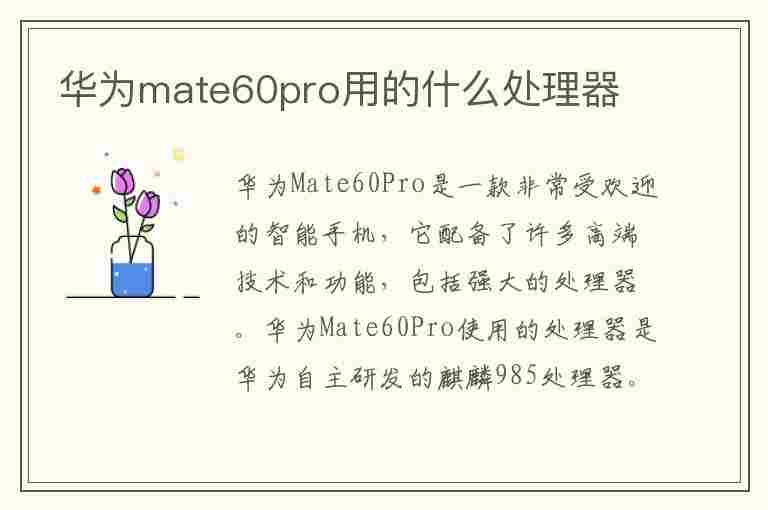 华为mate60pro用的什么处理器