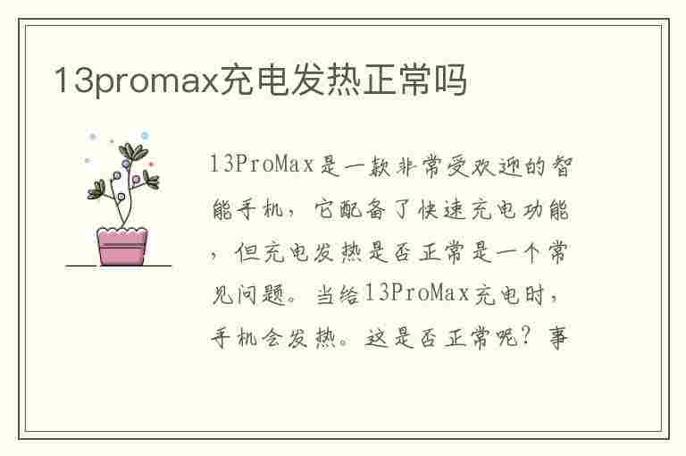 13promax充电发热正常吗