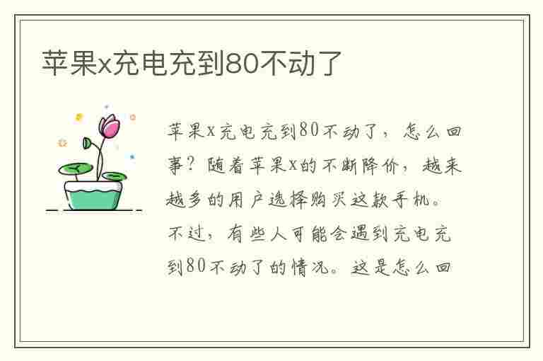 苹果x充电充到80不动了(苹果x充电充到80不动了怎么解决)