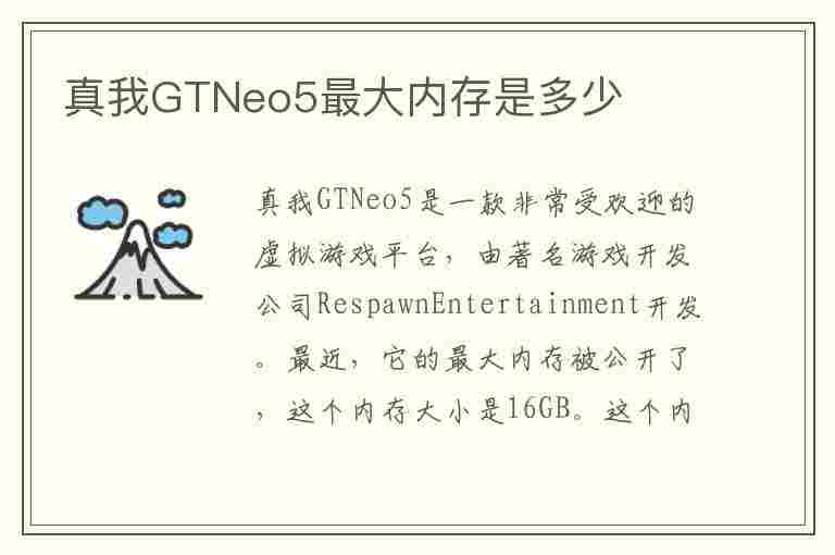 真我GTNeo5最大内存是多少