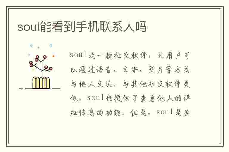 soul能看到手机联系人吗