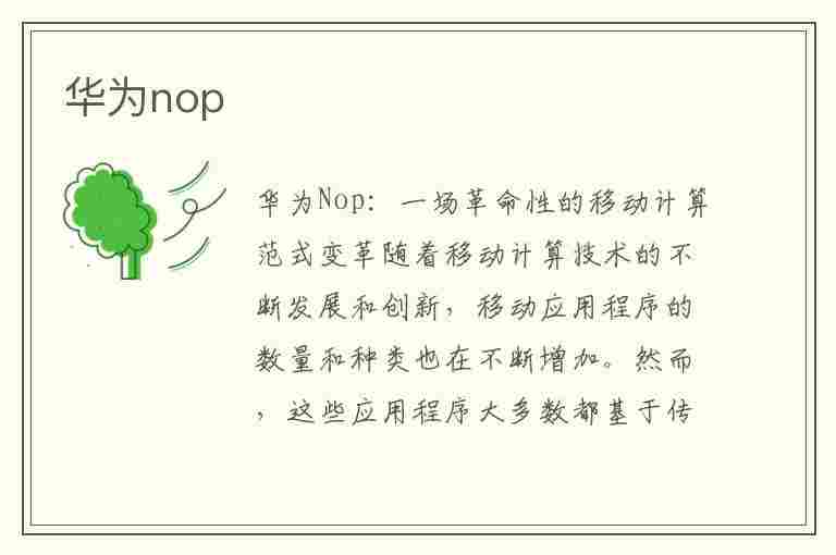 华为nop(华为nop an00是什么手机)