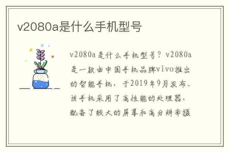 v2080a是什么手机型号(v2080a是什么型号的手机)