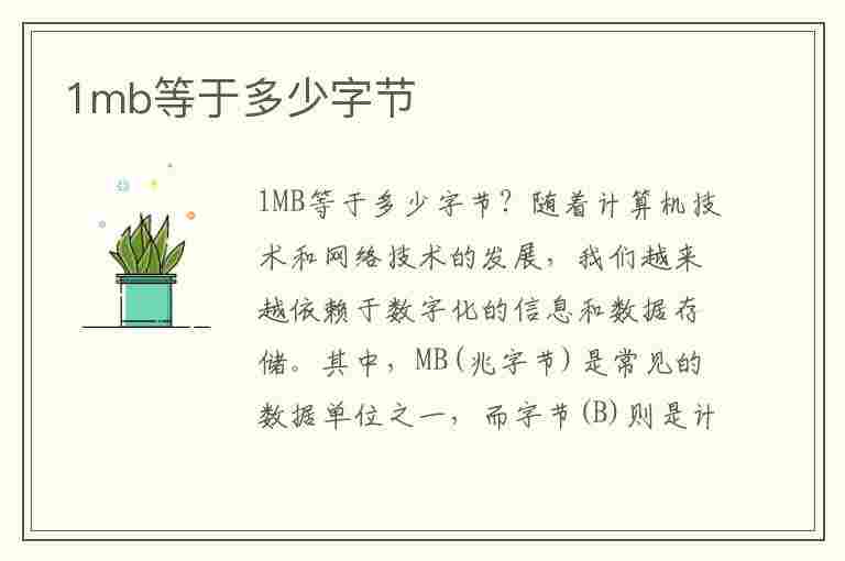 1mb等于多少字节(计算机1mb等于多少字节)