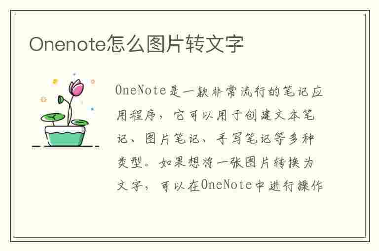 Onenote怎么图片转文字