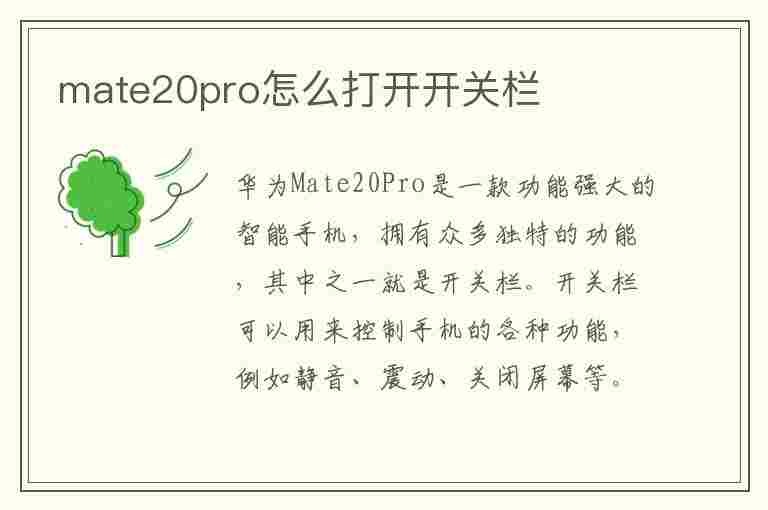 mate20pro怎么打开开关栏