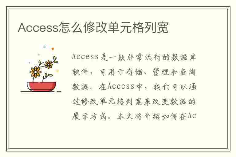 Access怎么修改单元格列宽