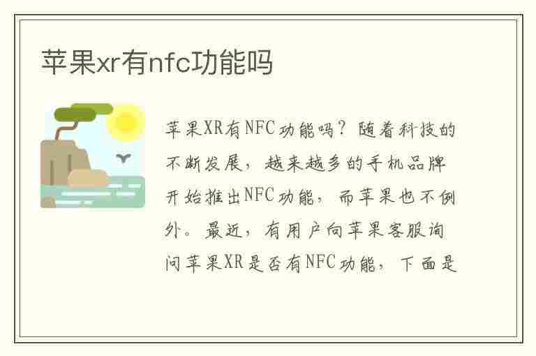 苹果xr有nfc功能吗(苹果xr有nfc功能吗门禁卡怎么添加)