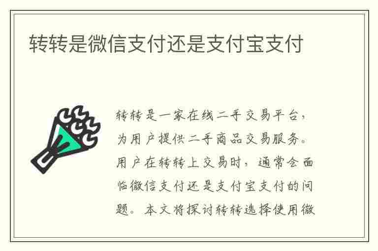 转转是微信支付还是支付宝支付