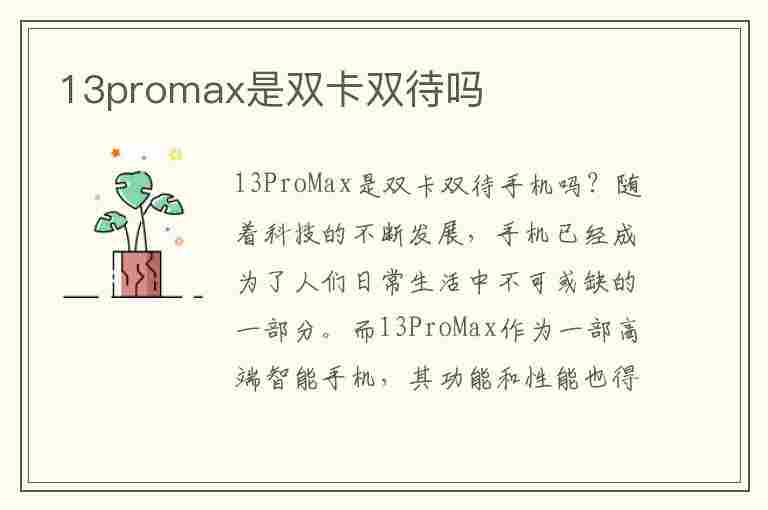 13promax是双卡双待吗(国行13promax是双卡双待吗)