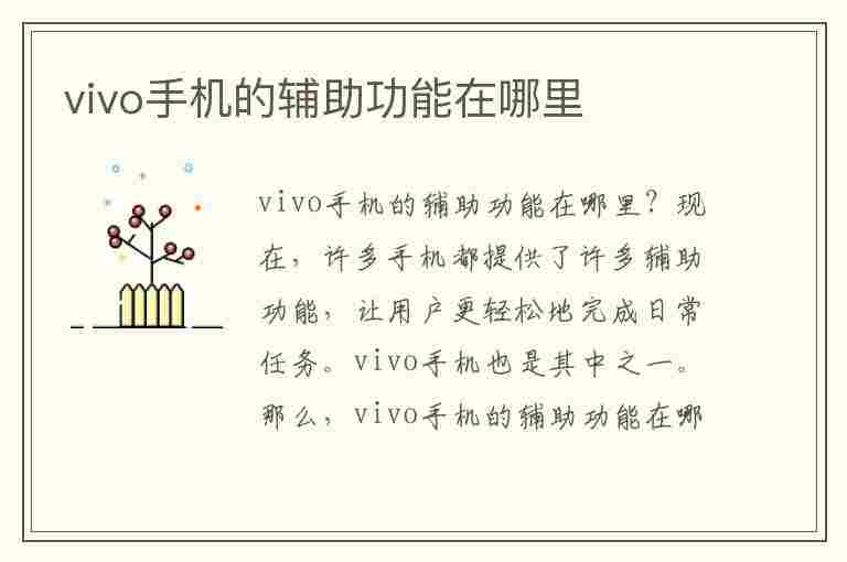 vivo手机的辅助功能在哪里