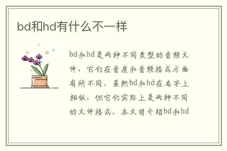 bd和hd有什么不一样(bd和hd有什么不一样吗)