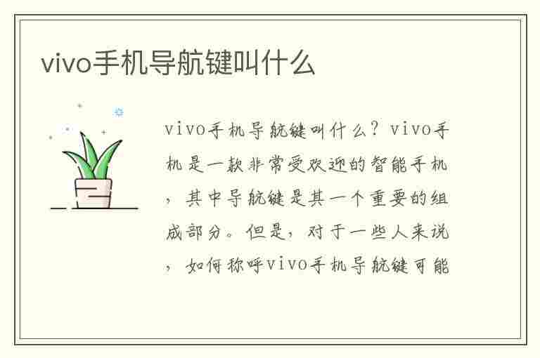 vivo手机导航键叫什么(vivo手机导航键叫什么名字)