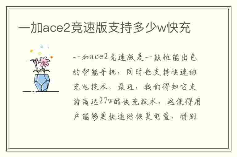 一加ace2竞速版支持多少w快充