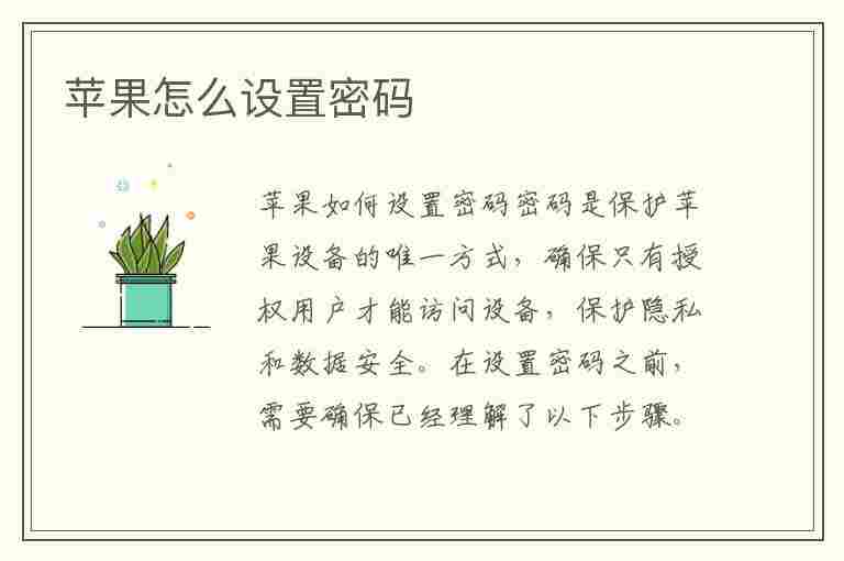 苹果怎么设置密码(苹果怎么设置密码锁屏)