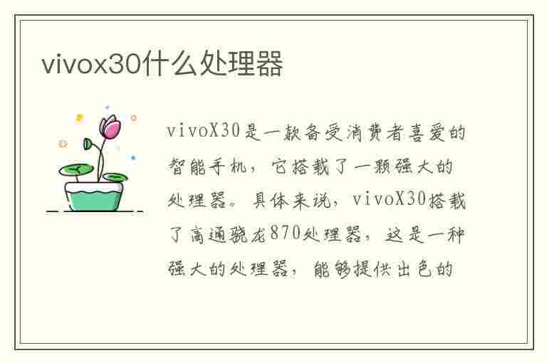 vivox30什么处理器(vivox30什么处理器相当于)