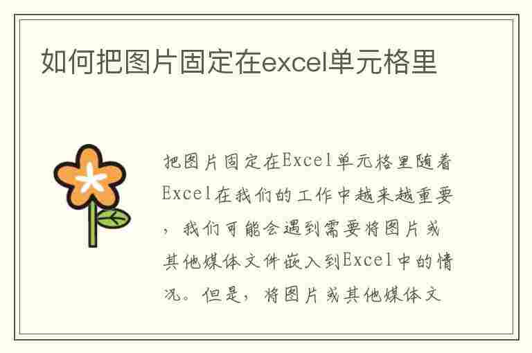 如何把图片固定在excel单元格里