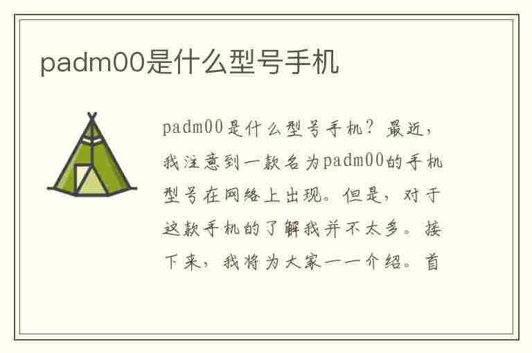 padm00是什么型号手机(padm00是什么型号手机oppo)