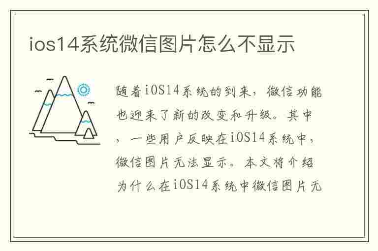 ios14系统微信图片怎么不显示