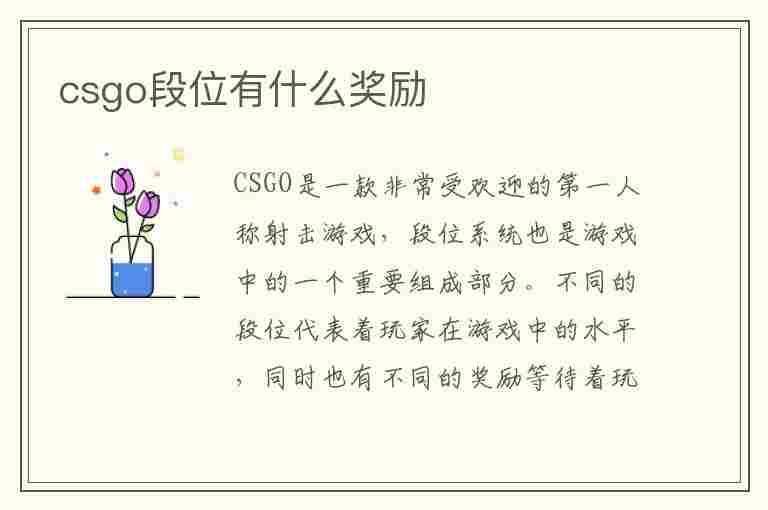 csgo段位有什么奖励(csgo段位有什么奖励吗)