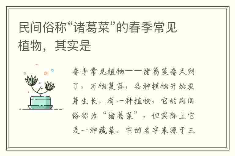 民间俗称“诸葛菜”的春季常见植物，其实是