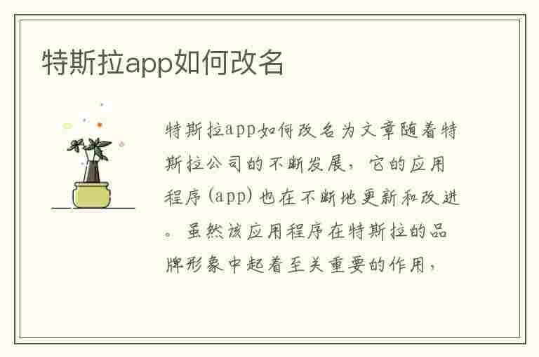 特斯拉app如何改名(特斯拉app如何改名字)