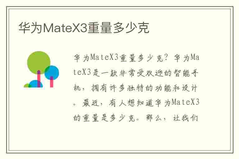 华为MateX3重量多少克