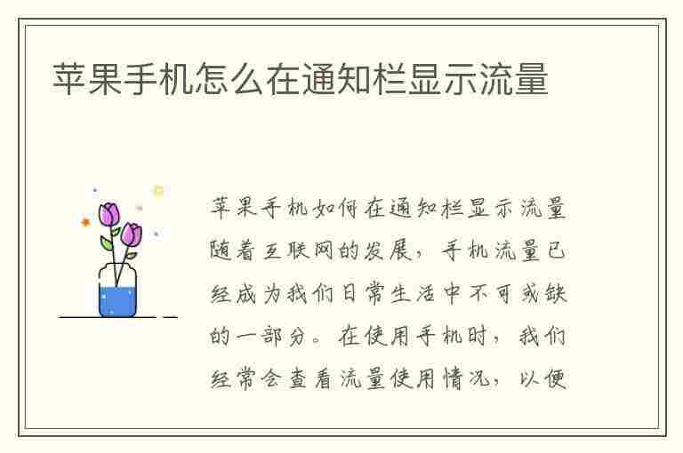 苹果手机怎么在通知栏显示流量