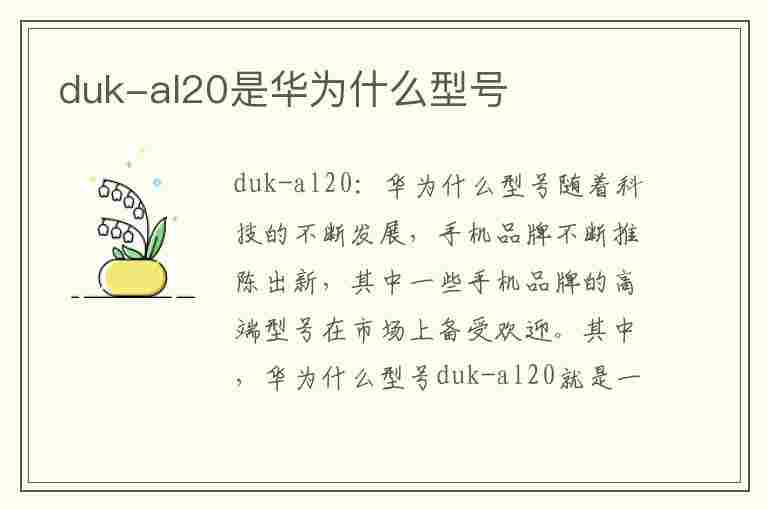 duk-al20是华为什么型号(dukal20是华为什么型号手机)