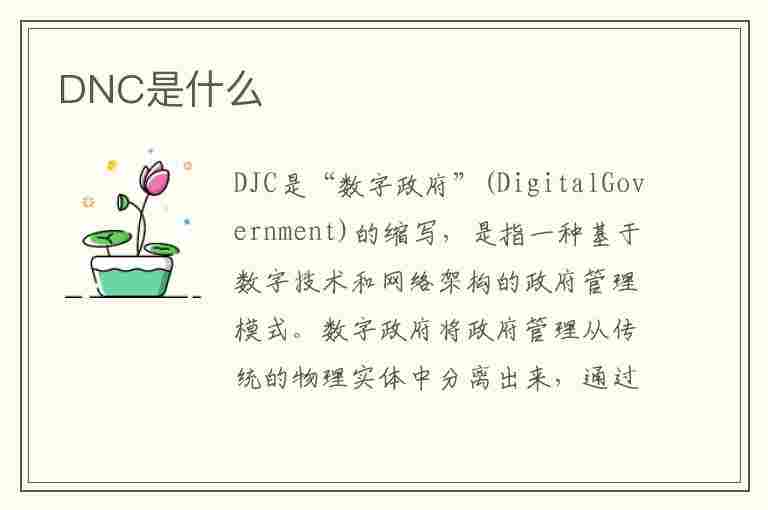 DNC是什么(dnc是什么意思)