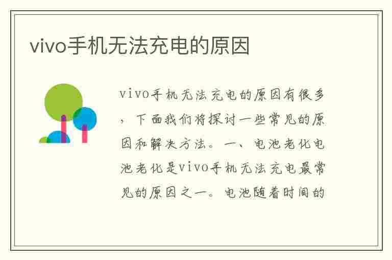 vivo手机无法充电的原因