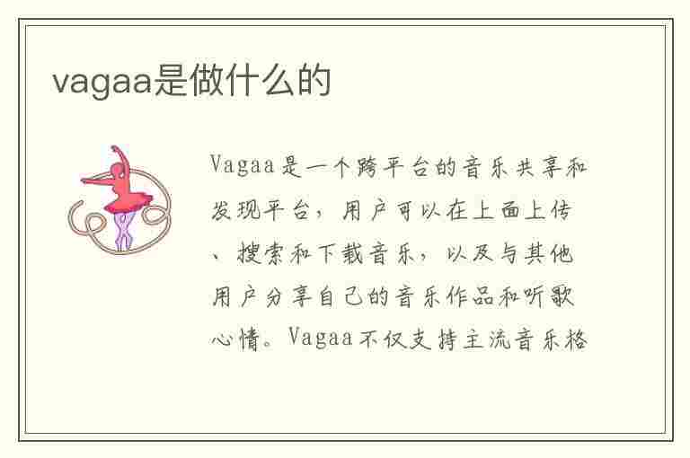 vagaa是做什么的(vagaa干什么的)