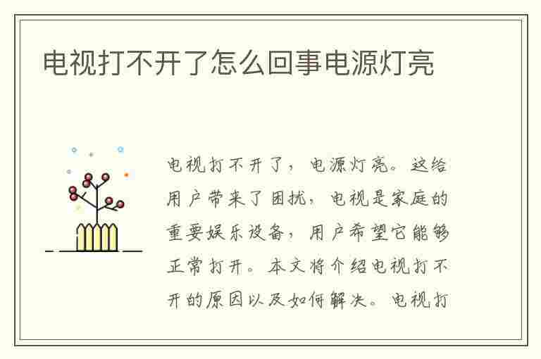 电视打不开了怎么回事电源灯亮