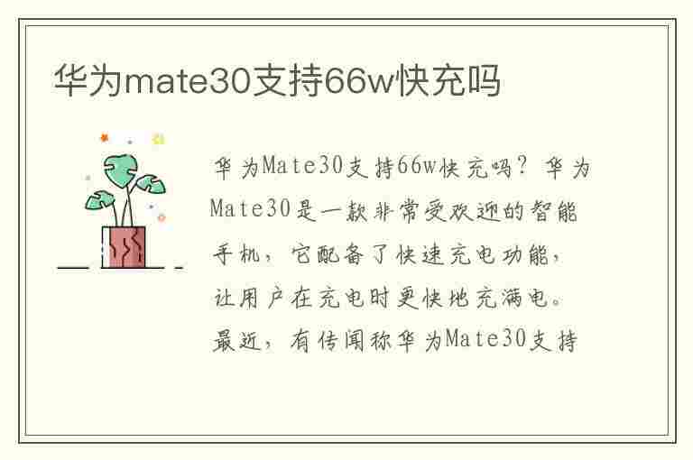 华为mate30支持66w快充吗(华为mate30pro支持66w快充吗)