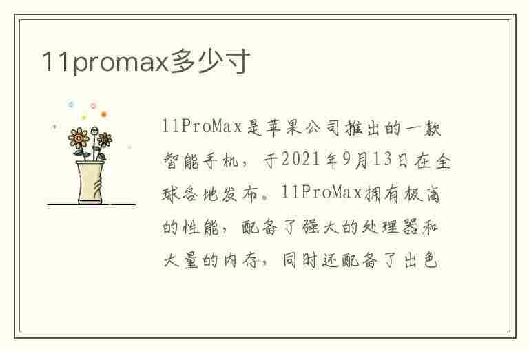 11promax多少寸(苹果11promax多少寸)