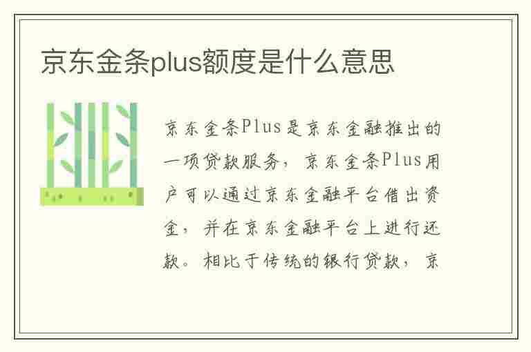 京东金条plus额度是什么意思