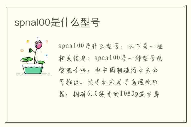 spnal00是什么型号(spnal00是什么型号手机)