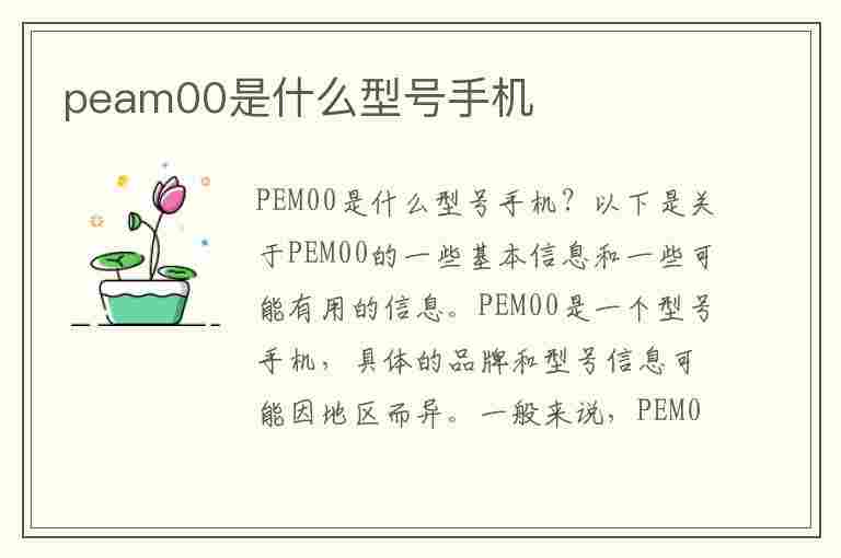 peam00是什么型号手机(peam00是哪个型号手机)