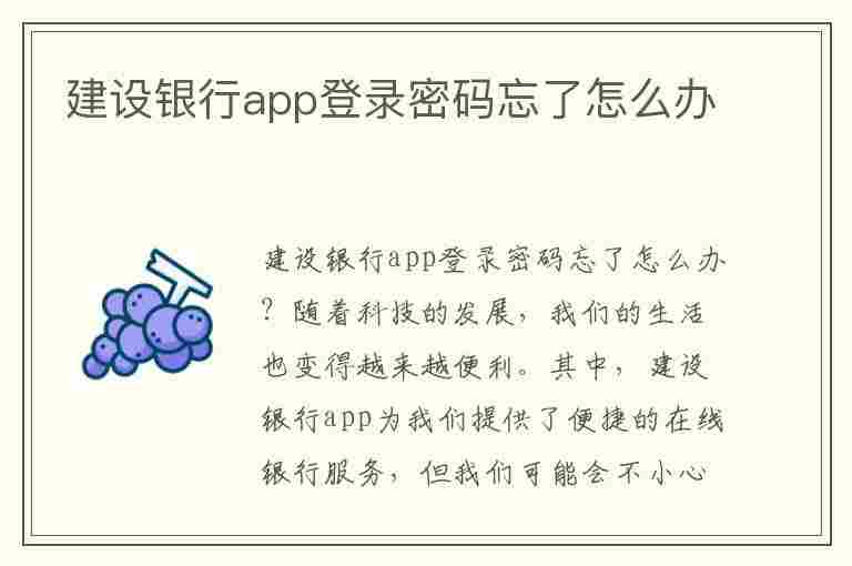 建设银行app登录密码忘了怎么办