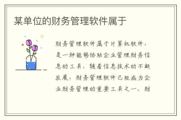 某单位的财务管理软件属于(某单位的财务管理软件属于什么软件)