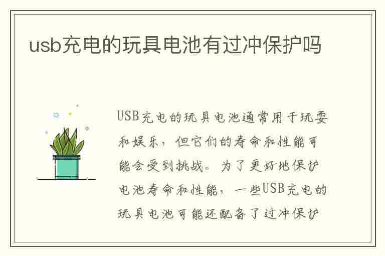 usb充电的玩具电池有过冲保护吗