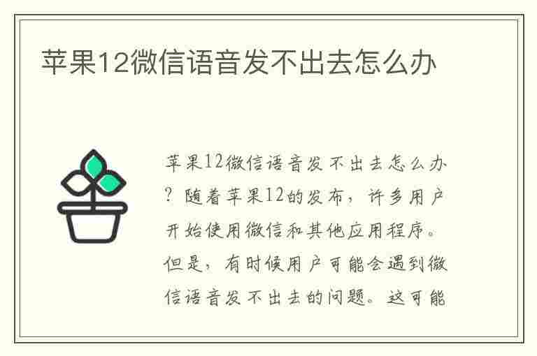 苹果12微信语音发不出去怎么办