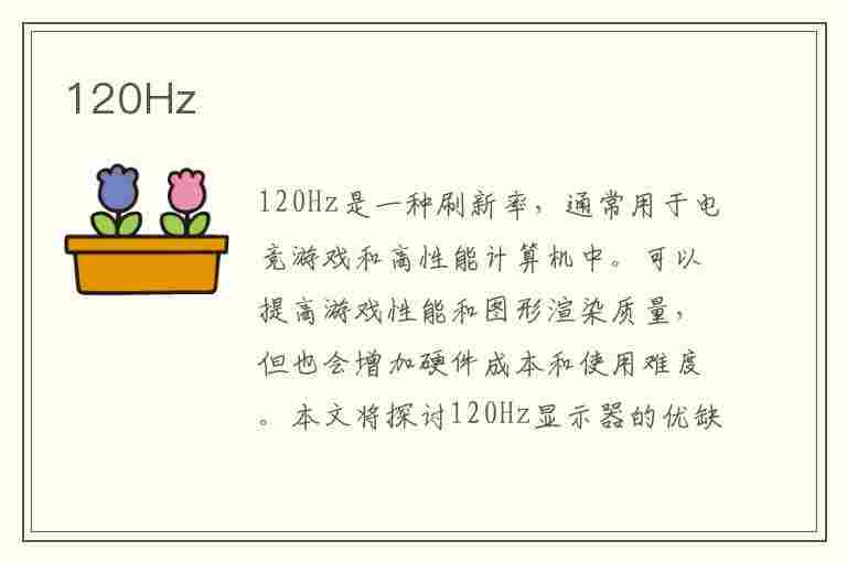 120Hz(120hz高刷新率是什么意思)