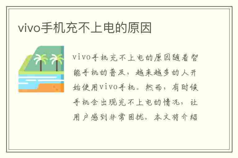 vivo手机充不上电的原因