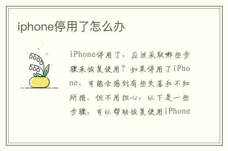 iphone停用了怎么办(iphone停用了怎么办最简单的方法不用电脑)