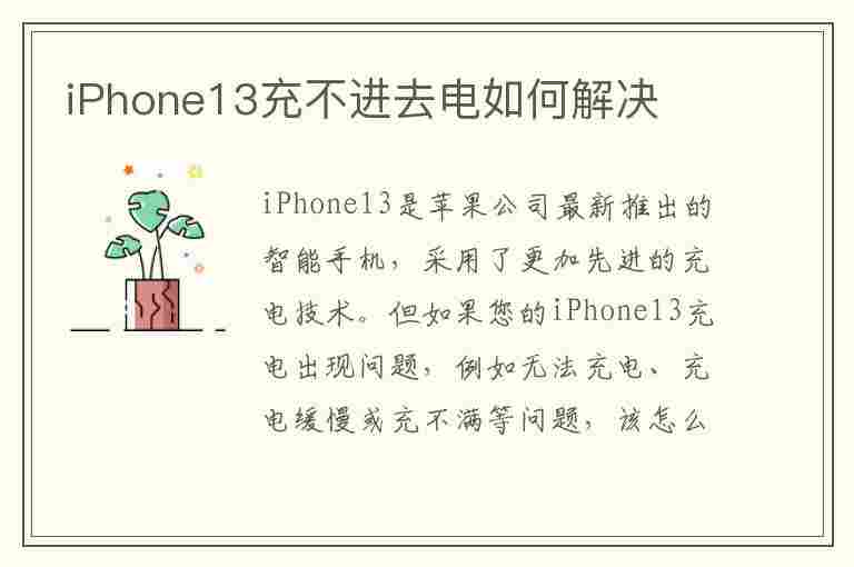 iPhone13充不进去电如何解决