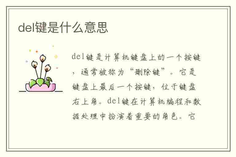 del键是什么意思(del键是什么意思什么功能)